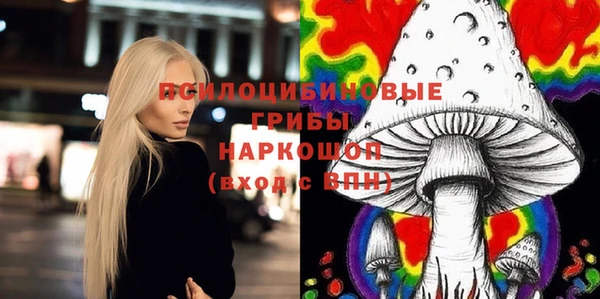 таблы Алексин