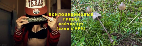 марки lsd Алексеевка