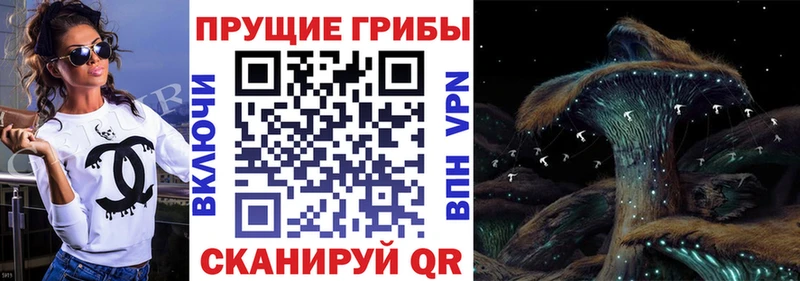 Галлюциногенные грибы Psilocybine cubensis магазин наркотиков Дзержинск