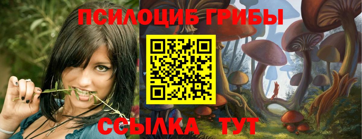 Галлюциногенные грибы GOLDEN TEACHER Дзержинск