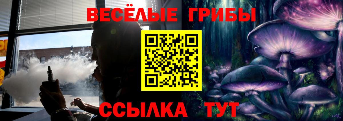 Дзержинск  Псилоцибиновые грибы GOLDEN TEACHER  Галлюциногенные грибы GOLDEN TEACHER  Вход с VPN 
