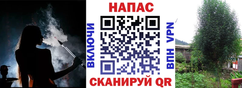 Конопля сатива  где найти наркотики  Дзержинск 